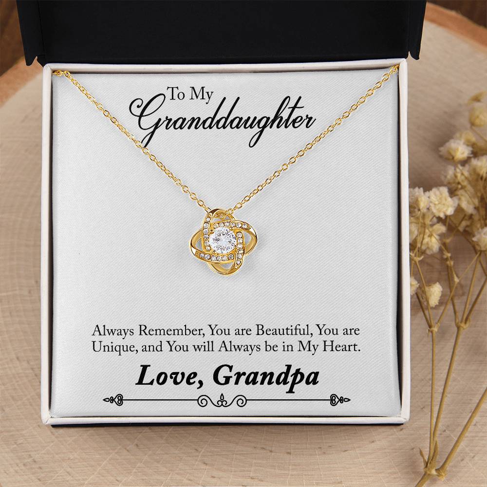 To My Grand daughter - Always Remember How Special You Are To Me - Necklace